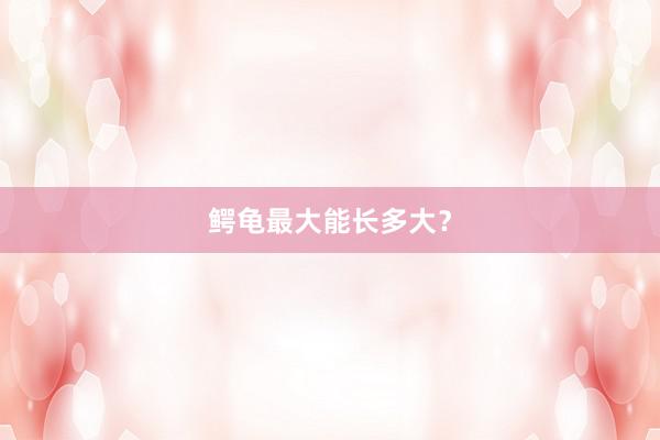 鳄龟最大能长多大？